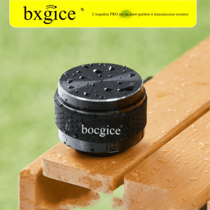 Haut-parleur bocoice pro