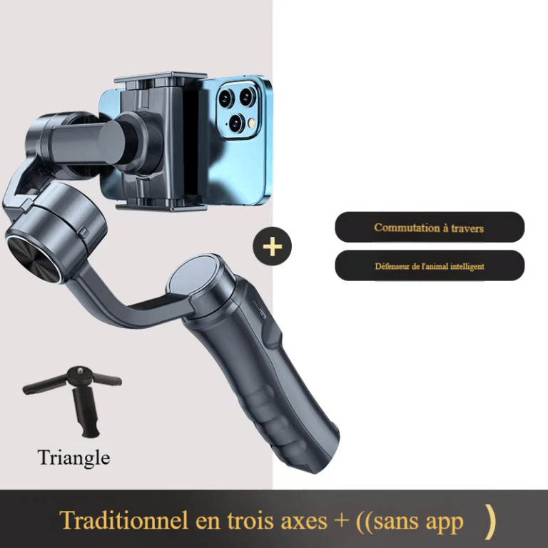 Stabilisateur portable trois axes F6