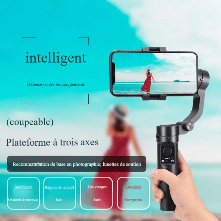 Stabilisateur portable trois axes F6