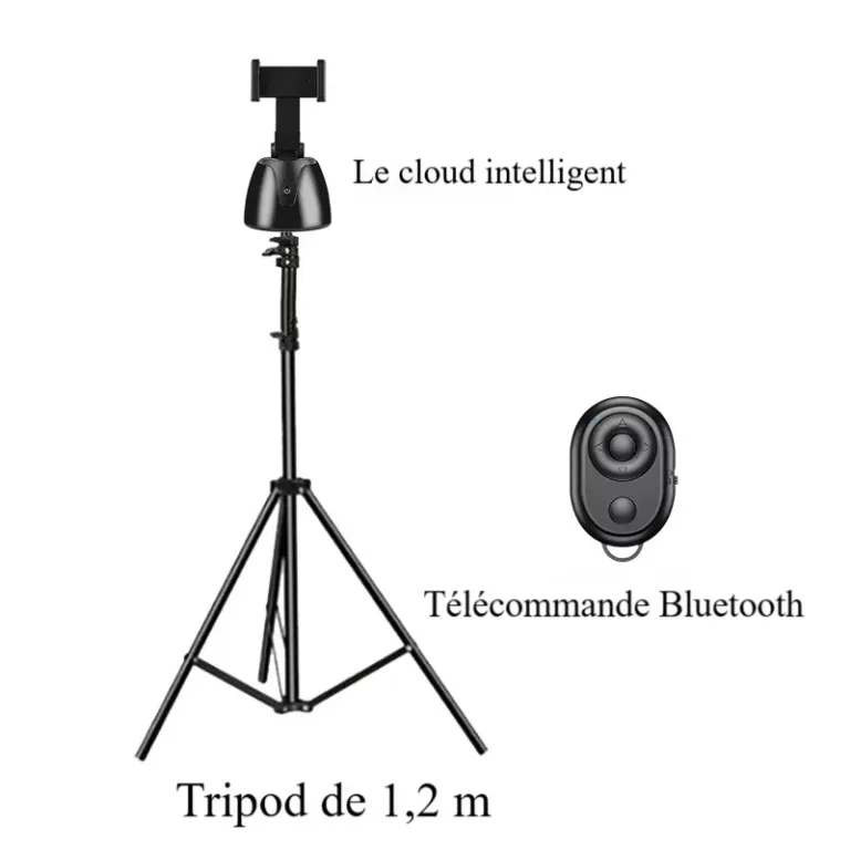 Support de stabilisation à 360