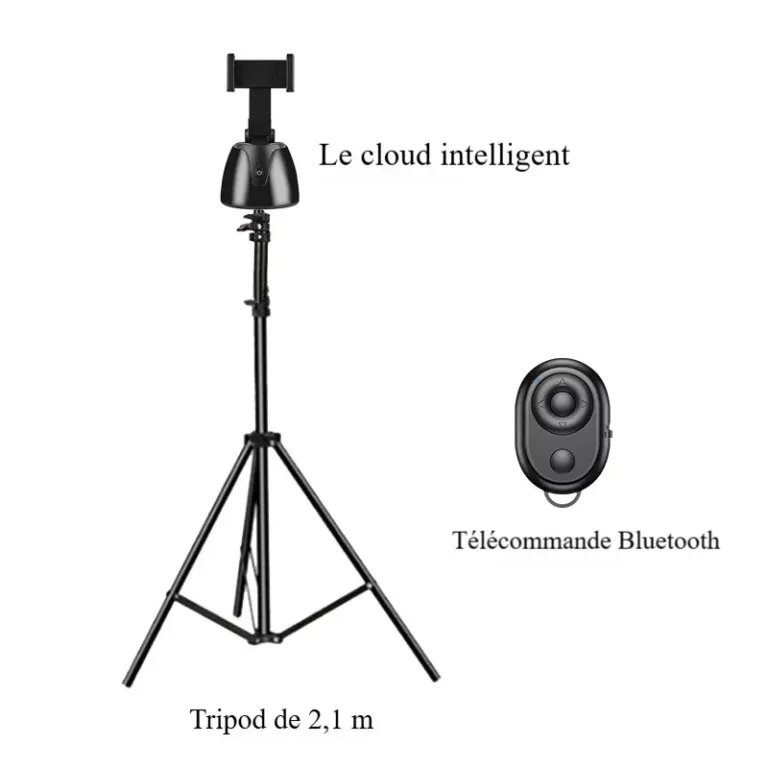 Support de stabilisation à 360