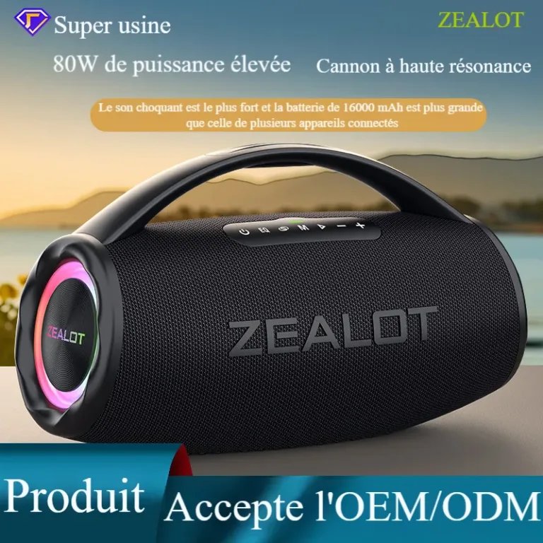 ZEALOT / FANATIQUES S97 Haut-parleur Sans Fil