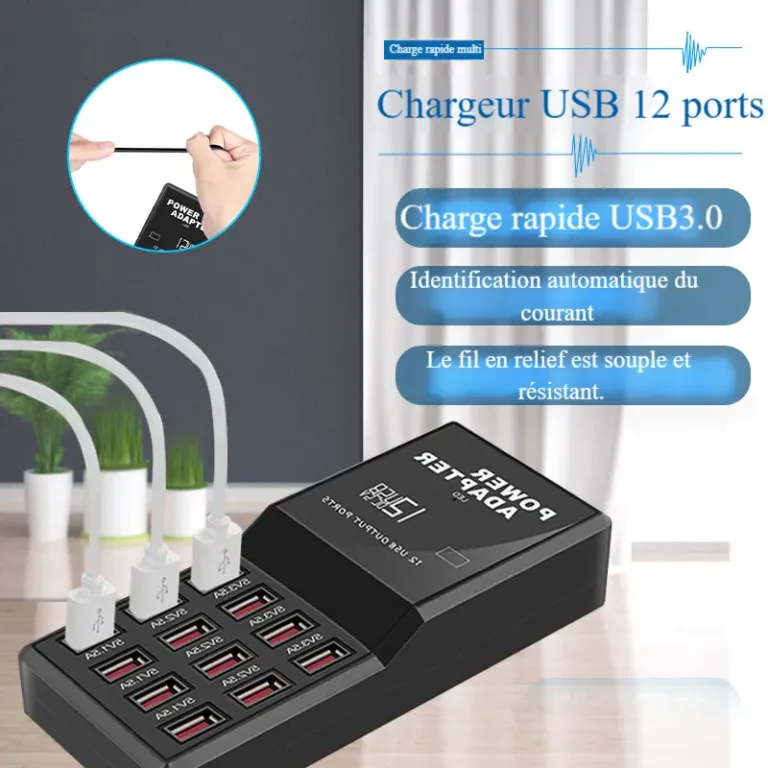 Adaptateur d'alimentation pour téléphone portable