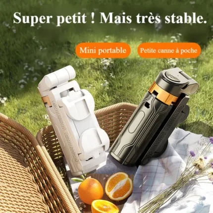 Perche à selfie ultra-mini avec télécommande Bluetooth