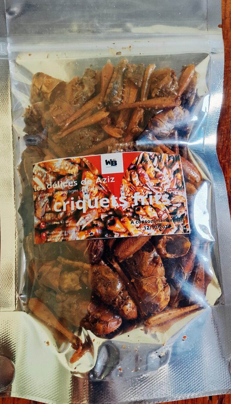 Criquets frits croustillants assaisonnés