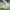 Chaussures de football montantes et respirantes