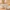 Cutter pour cuisine domestique